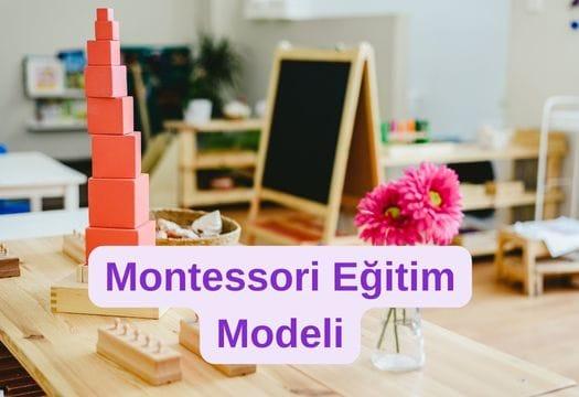 Okul Öncesi Eğitim Programları Okul Öncesi Eğitim Programları