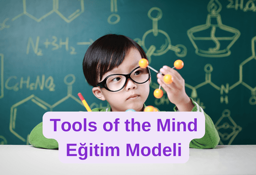 Okul Öncesi Eğitim Programları Okul Öncesi Eğitim Programları