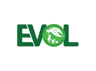 EVOL Anaokulu