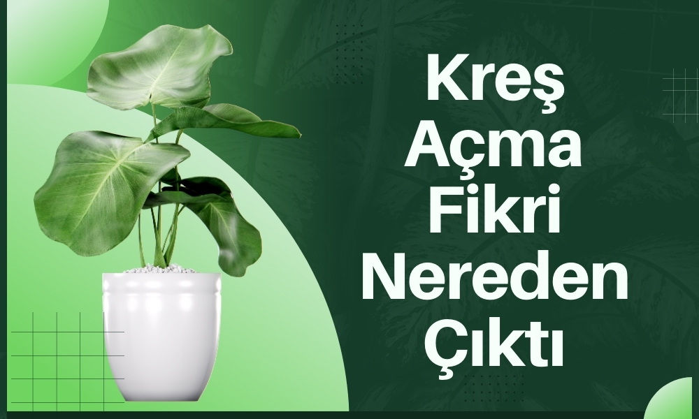 kimler kreş açabilir kreş açma fikrinin doğuşu